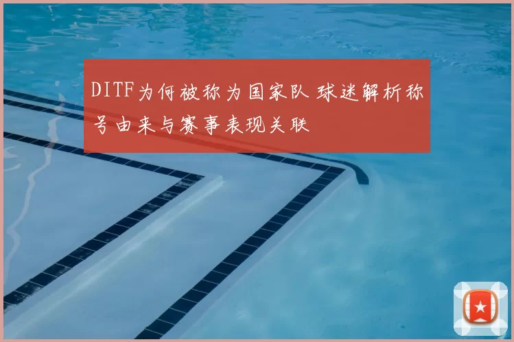 DITF为何被称为国家队 球迷解析称号由来与赛事表现关联