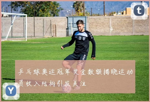 乒乓球奥运冠军奖金数额揭晓运动员收入结构引发关注